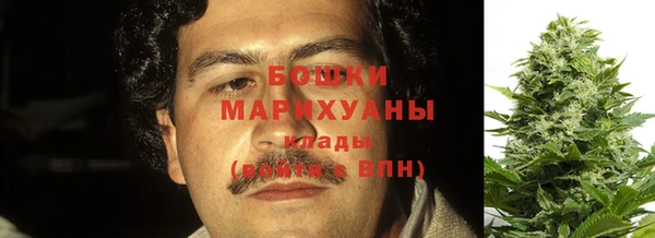 прущие грибы Белокуриха