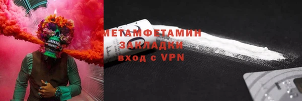 прущие грибы Белокуриха
