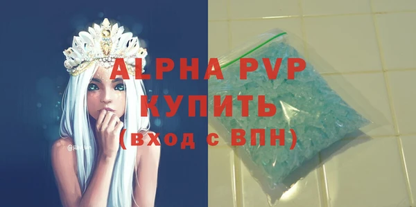 прущие грибы Белокуриха