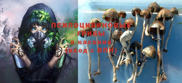 прущие грибы Белокуриха