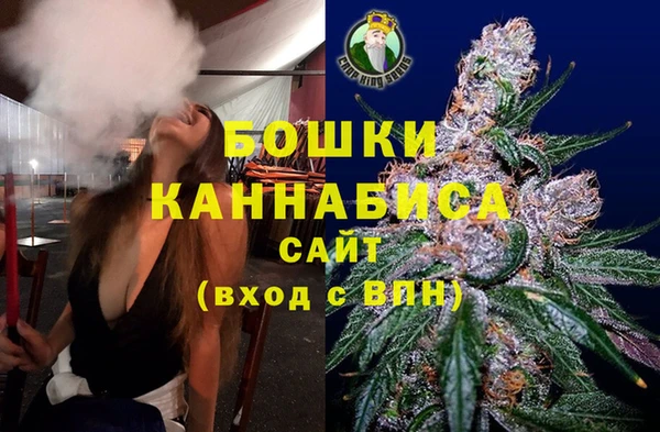 прущие грибы Белокуриха