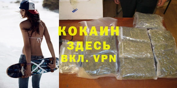 прущие грибы Белокуриха