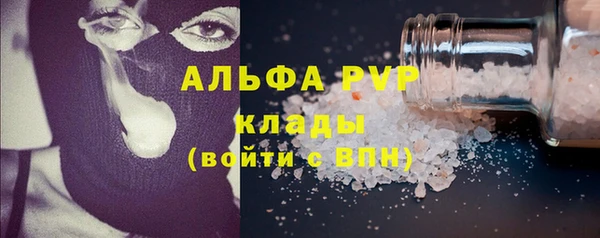 прущие грибы Белокуриха