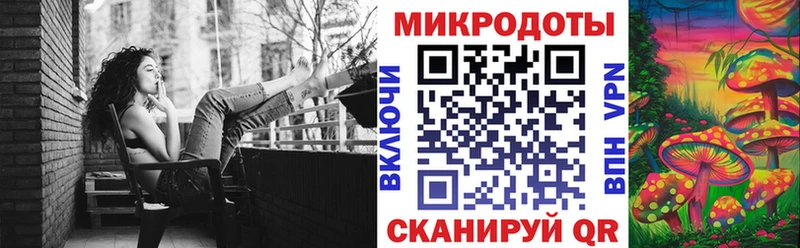 как найти закладки  Заречный  Псилоцибиновые грибы мицелий 